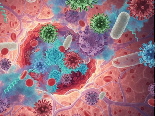 Ministra de Salud detalla plan de preparación ante posible llegada de la gripe H3N2 y nueva cepa de virus