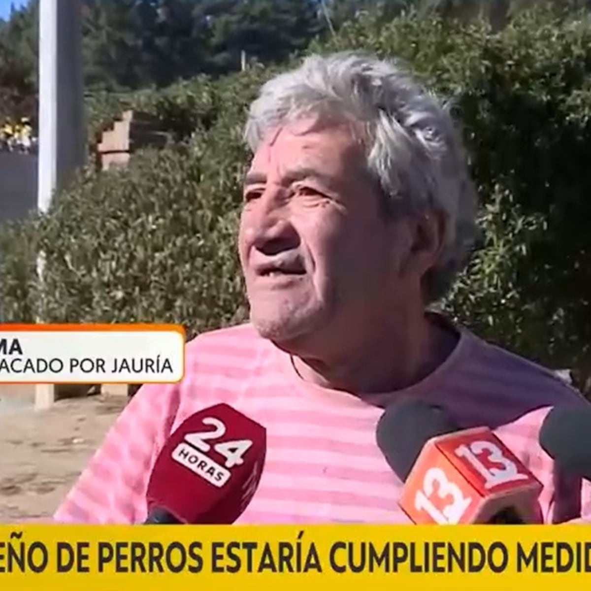 Ataque de Rottweiler en Valparaíso deja a adulto mayor herido Ataque de Rottweiler en Valparaíso deja a adulto mayor herido