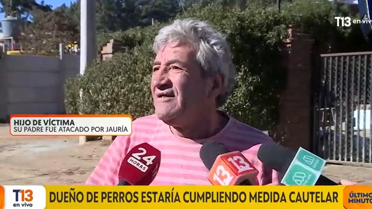 “Mi taita no dura una semana”: el impactante relato de hijo de adulto mayor atacado por jauría de rottweiler en Valparaíso