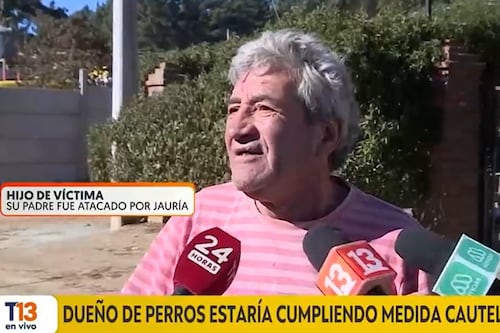 “Mi taita no dura una semana”: el impactante relato de hijo de adulto mayor atacado por jauría de Rottweiler en Valparaíso