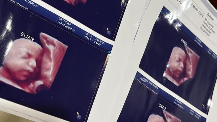 La denuncia la realizaron varias madres afectadas por la estafa de una clínica de la ciudad argentina de Formosa.