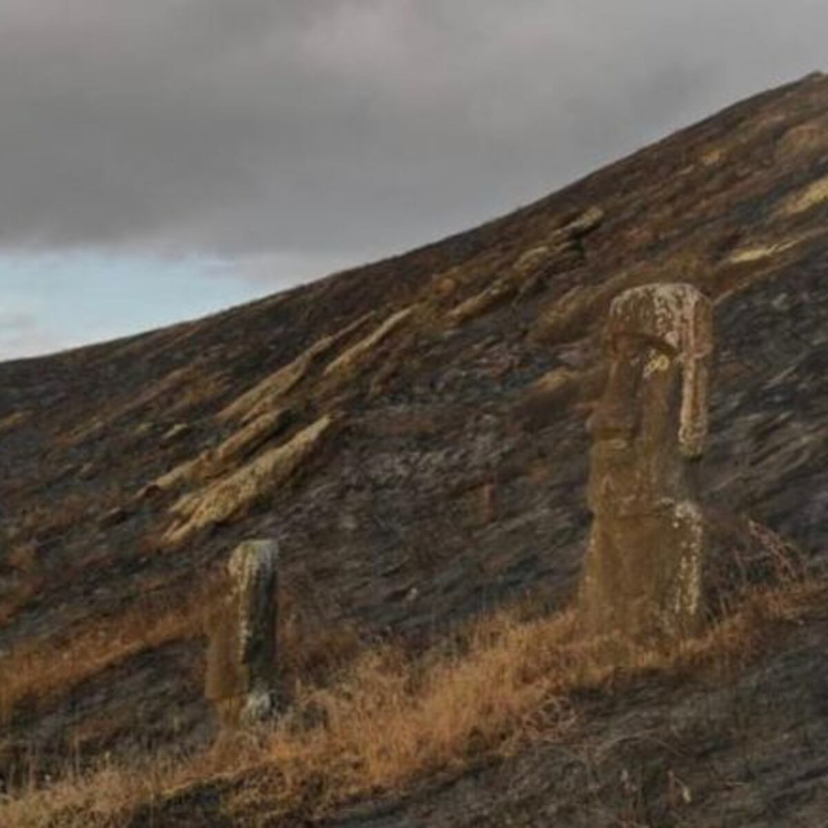 Alerta roja en Isla de Pascua por incendio forestal Alerta roja en Isla de Pascua por incendio forestal