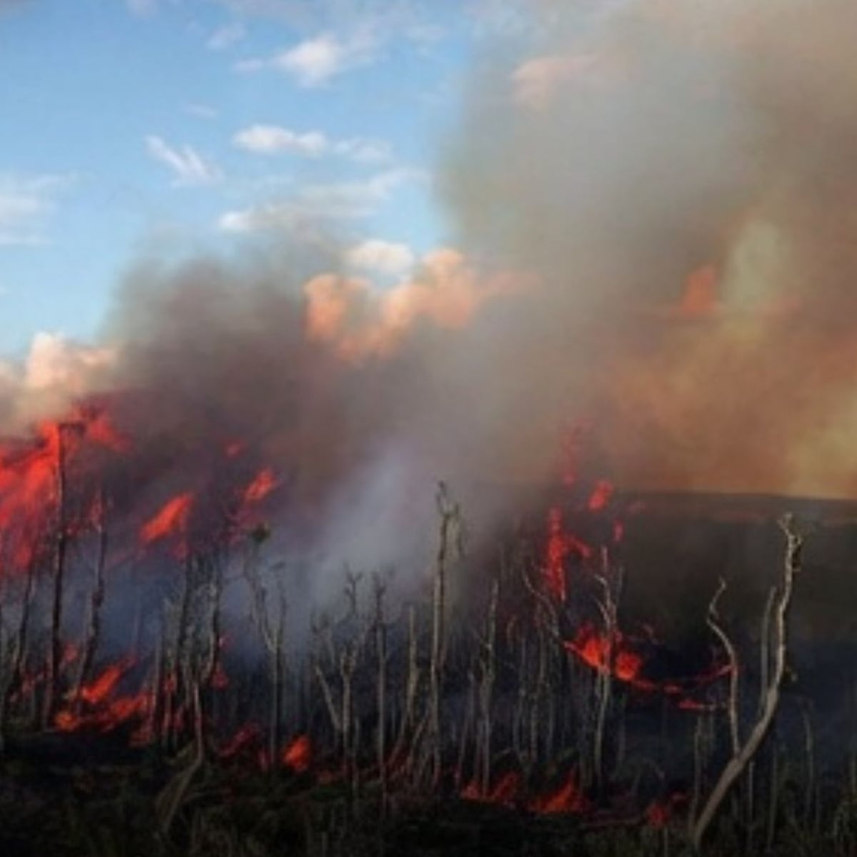 Alerta regional por incendios forestales en la Patagonia argentina Alerta regional por incendios forestales en la Patagonia argentina