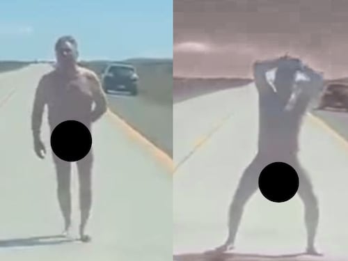 Hombre desnudo provocó caos en ruta internacional de Magallanes: se lanzó a los vehículos y arrojó piedras