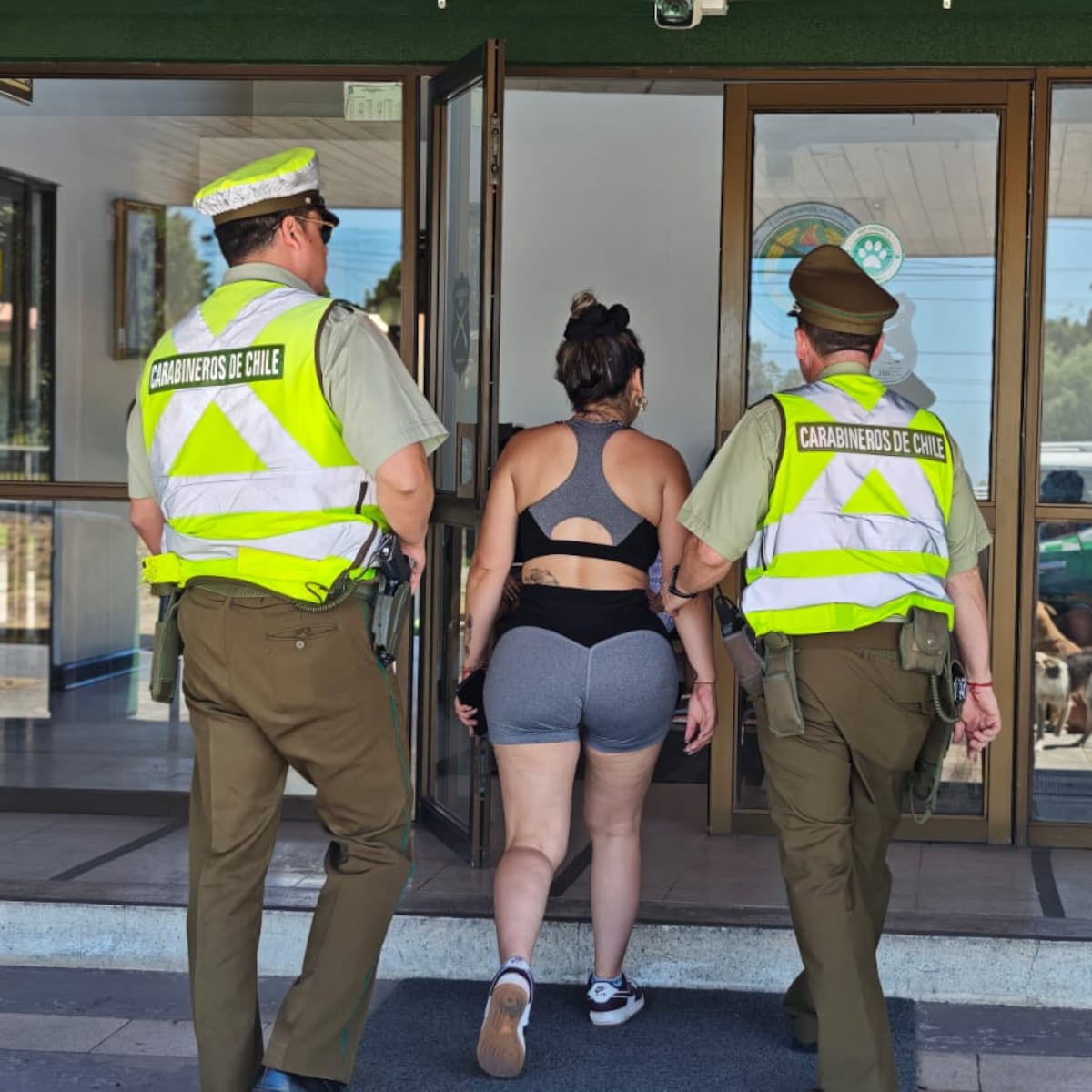 Detienen a mujer por conducción temeraria a 178 km/h en Ruta del Itata Detienen a mujer por conducción temeraria a 178 km/h en Ruta del Itata