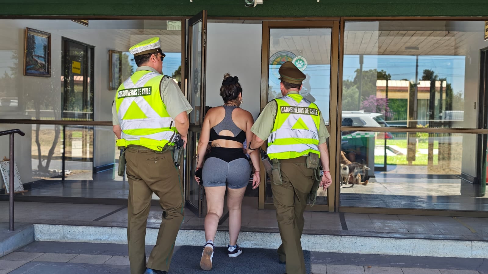 Carabineros llamó a reforzar la responsabilidad de conductores, pasajeros y peatones en rutas del país.