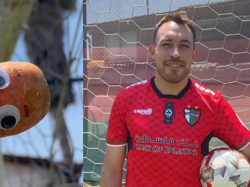 “Es cine lo que hace”: Community Manager de Palestino sacó aplausos tras creativo anuncio de la llegada de Sebastián Pérez al club