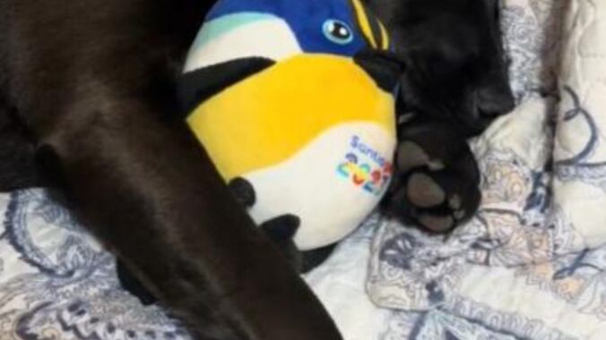 Emmita ama a Fiu, TikTok