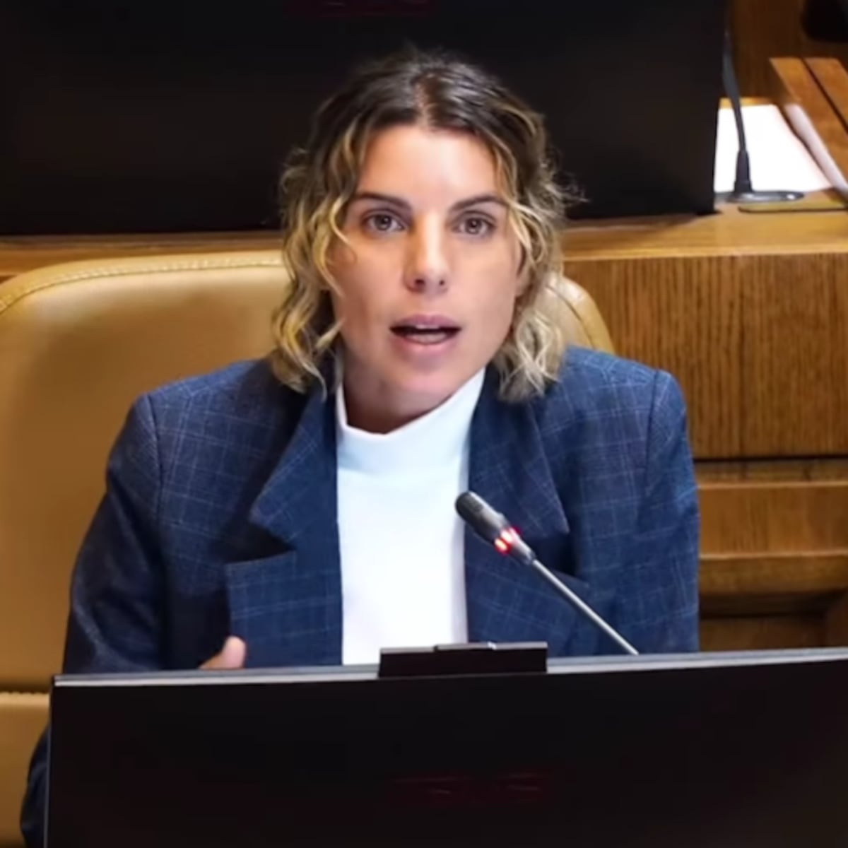 Maite Orsini: debate sobre reforma de pensiones no se cierra Maite Orsini: debate sobre reforma de pensiones no se cierra