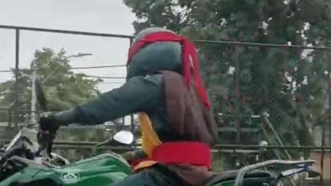 Carabineros de tortugas ninja