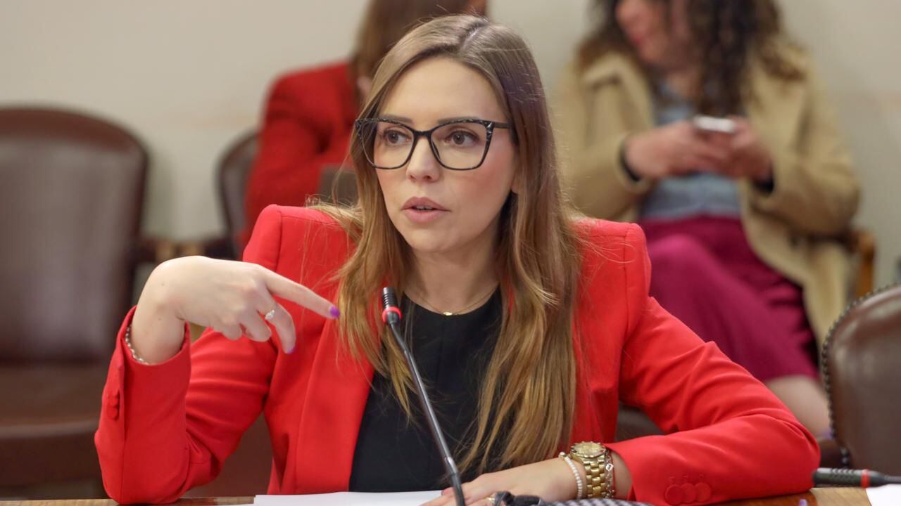 Diputada Camila Flores