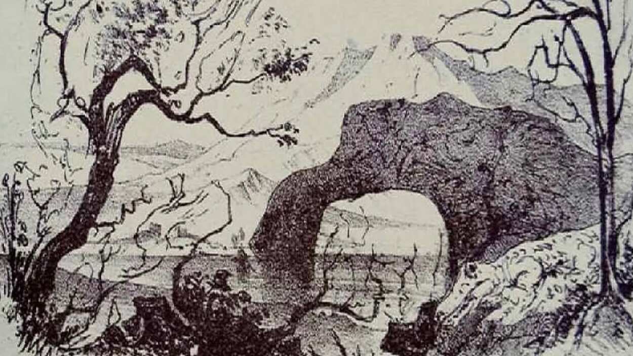 Descubre los animales ocultos.