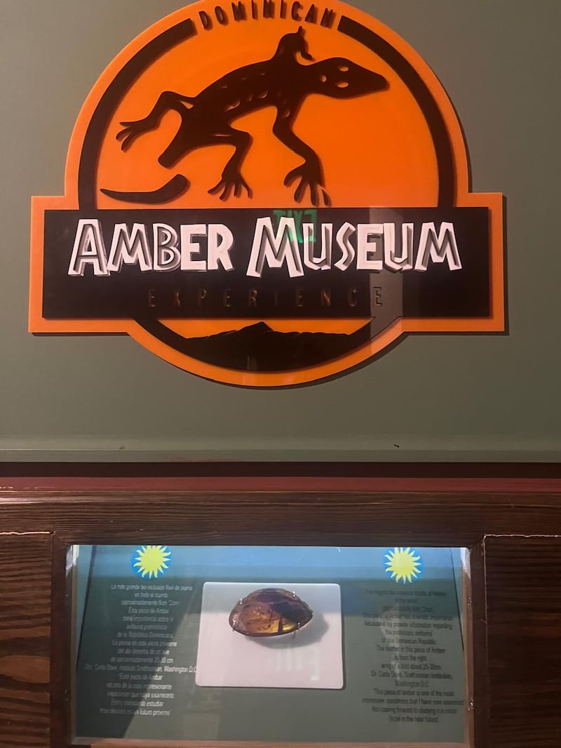 Amber Museum