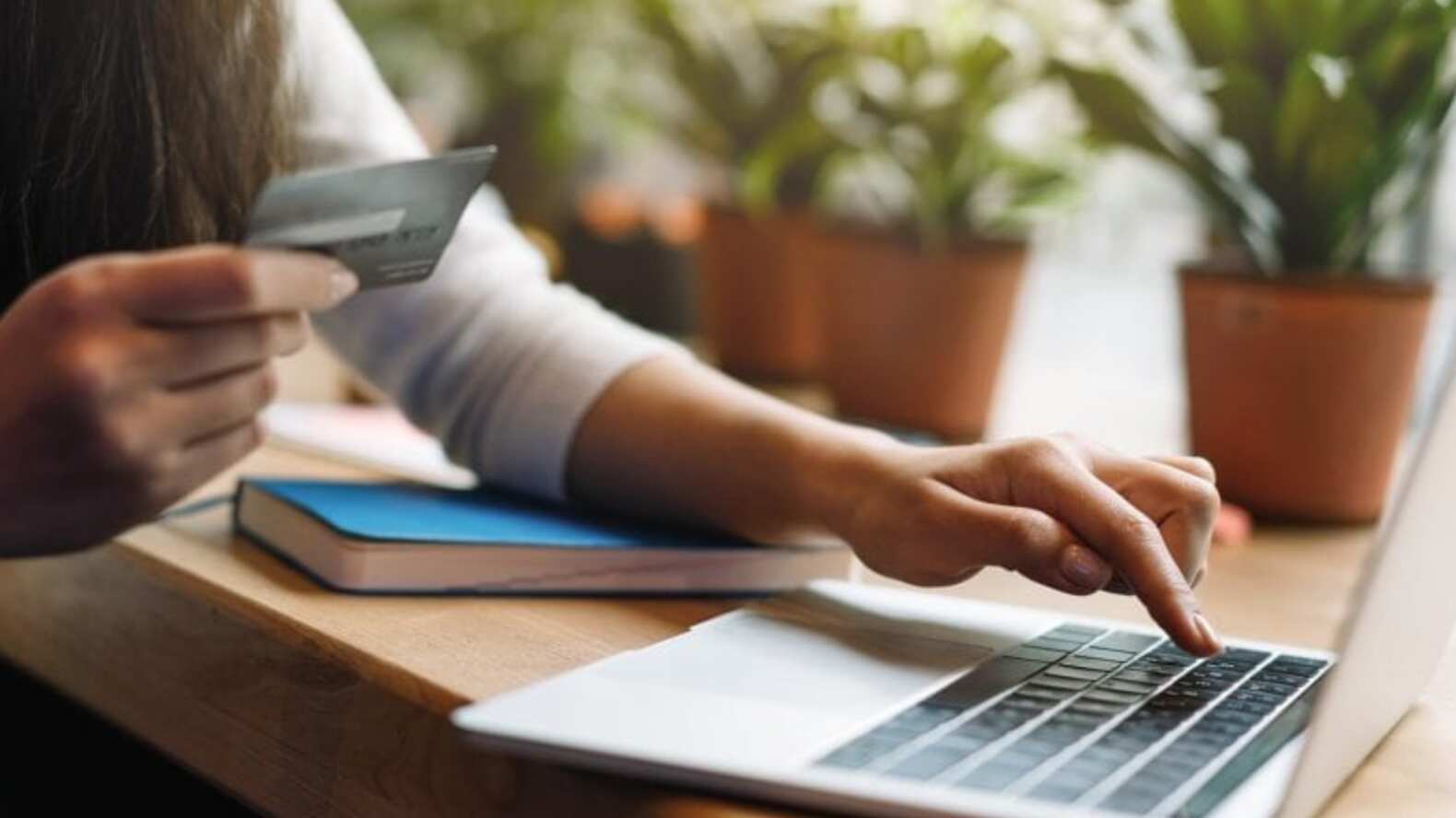 E-commerce Sano de Lucas