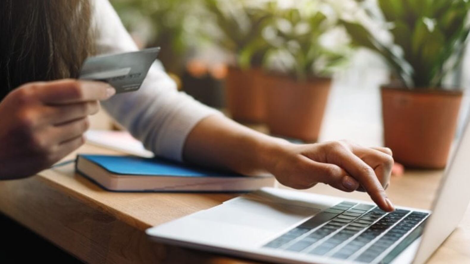 E-commerce Sano de Lucas