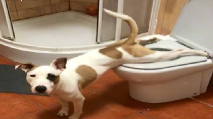 Su actitud sorprendió en redes sociales.