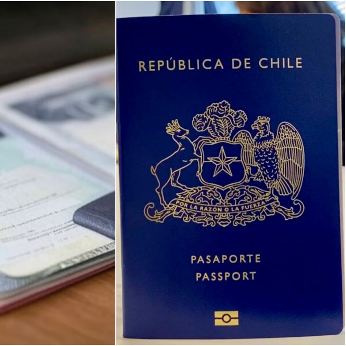 Chilenos podrán viajar a China sin visa Chilenos podrán viajar a China sin visa