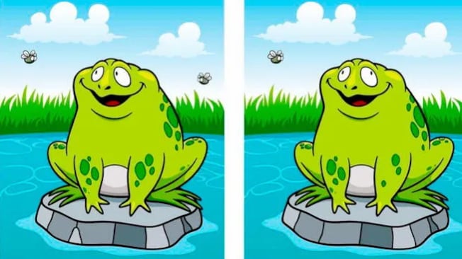 Los sapos no son iguales, fíjate bien.