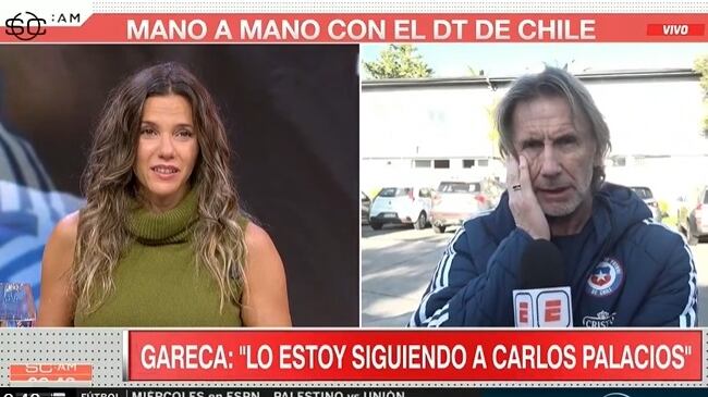 El técnico de la selección chilena admitió que Carlos Palacios podría ser convocado para la próxima doble fecha de las clasificatorias sudamericanas.