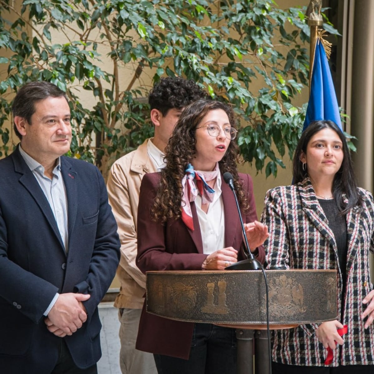 Proyecto de ley para instaurar Día Nacional de la Insuficiencia Ovárica Prematura Proyecto de ley para instaurar Día Nacional de la Insuficiencia Ovárica Prematura