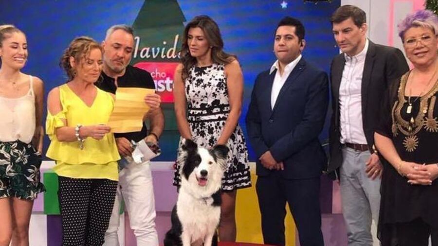 Luego, Salosny señaló que su desvinculación se debió, en parte, a que no tenía una buena relación con quien, en ese momento, era el productor ejecutivo del matinal de Mega.
“Ese último tiempo fue todo muy doloroso. Es triste cuando haces todos los intentos para llevarte bien con una persona y eso no resulta”, expresó.
Kathy Salosny recordó burlas dentro de Mucho Gusto por ser feminista
Posteriormente, Kathy afirmó que fue “cuestionada” dentro de Mucho Gusto por ser feminista y tener una postura clara frente al abuso que sufren las mujeres en la industria.
“Claro (que me sentí así), porque no soy casada, no tengo hijos, porque soy feminista y digo las cosas que pienso”, dijo la actriz.
Luego, Salosny sorprendió al panel cuando desclasificó que, en más de una oportunidad, a través del sonoprompter, se burlaron de ella con frases como “ella, la feminista”.
“Se te respeta menos cuando no tienes hijos”, comentó la animadora.
Finalmente, consultada sobre su reacción ante estas mofas, Kathy dijo que en ese momento “se me movía el eje de la cara y después lo volvía a poner en su lugar”.