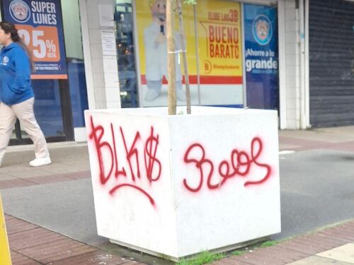 Cero tolerancia en Puerto Montt: Responsable de rayar un macetero deberá pagar $300.000 por daños