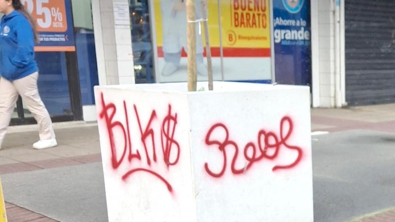 Cero tolerancia en Puerto Montt: Responsable de rayar un macetero deberá pagar $300.000 por daños