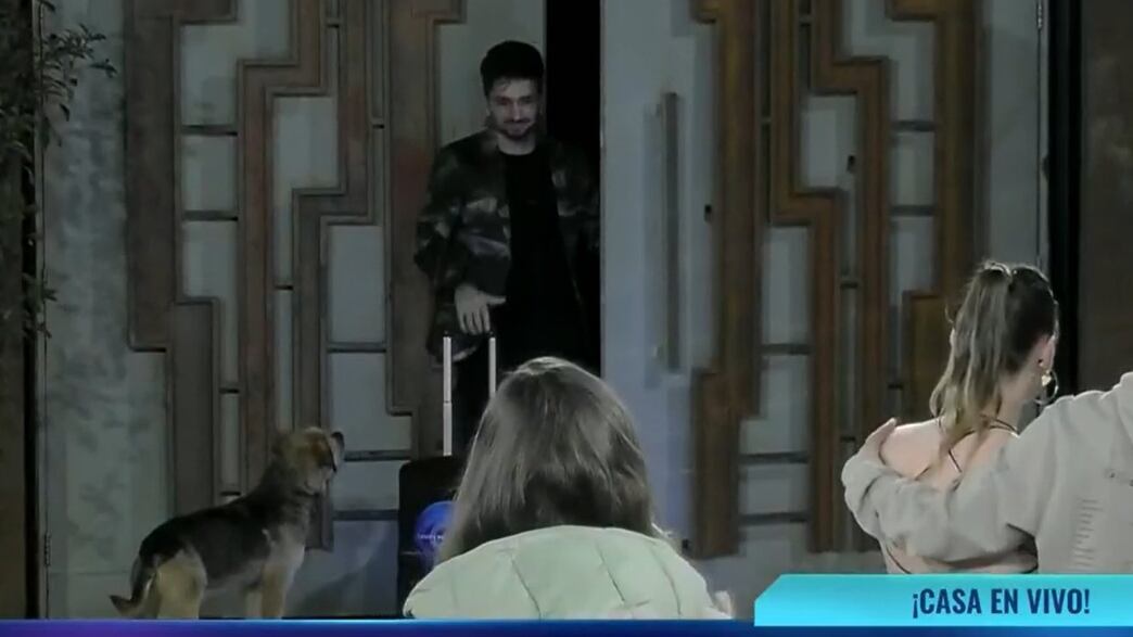 La eliminación de Fernando Altamirano Bambino del reality Gran Hermano de CHV dejó una imagen digna de los Premios Oscar, que muchos cibernautas catalogaron como de película. Esto, porque fue el propio perrito Bigote quien lo acompañó hasta la puerta de salida, como asegurándose que saldría de la casa estudio.
“¿Bigote viendo cómo se va Bambino? Esto es Cine”, “quería verlo salir en primera fila el bebe”, “Literal lo echó”, “Asegurándose que se vaya”, escribieron cibernautas junto a la destacada imagen.