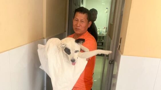 El hombre no dudó en adoptar al perro abandonado y su gesto se hizo viral
