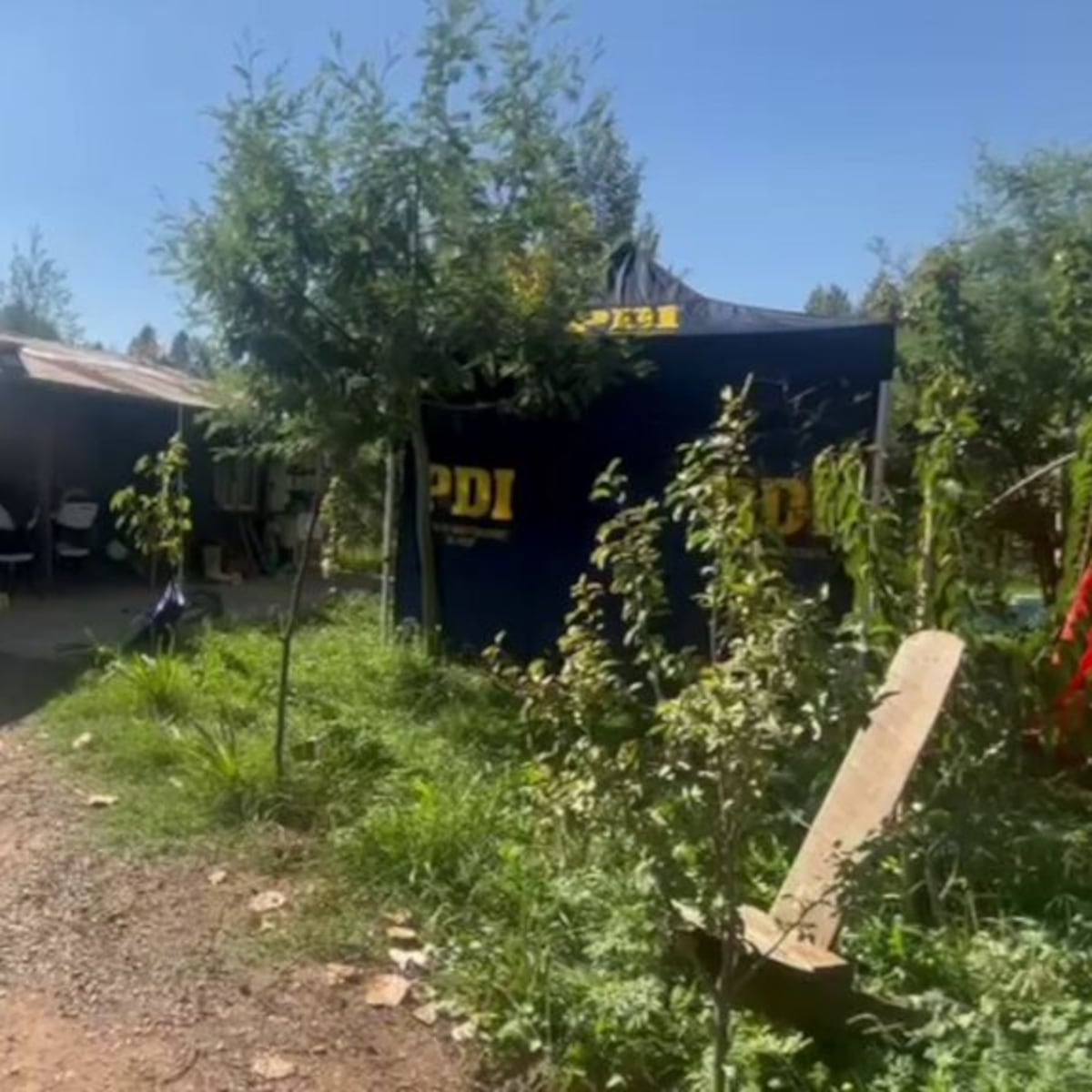 Hallan adulto mayor muerto con 40 puñaladas en Talca Hallan adulto mayor muerto con 40 puñaladas en Talca