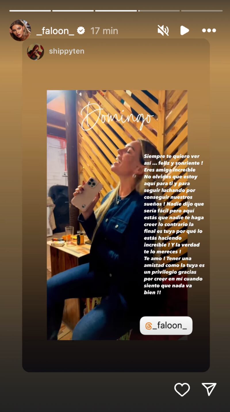 Historia de Faloon Larraguibel | Fuente: Instagram @_faloon_