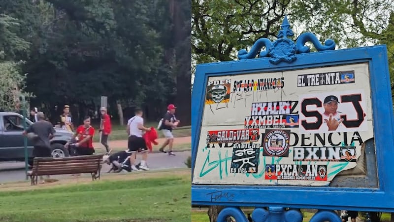 Brutal pelea y vandalismo protagonizan hinchas de Colo Colo en la previa del duelo ante Godoy Cruz