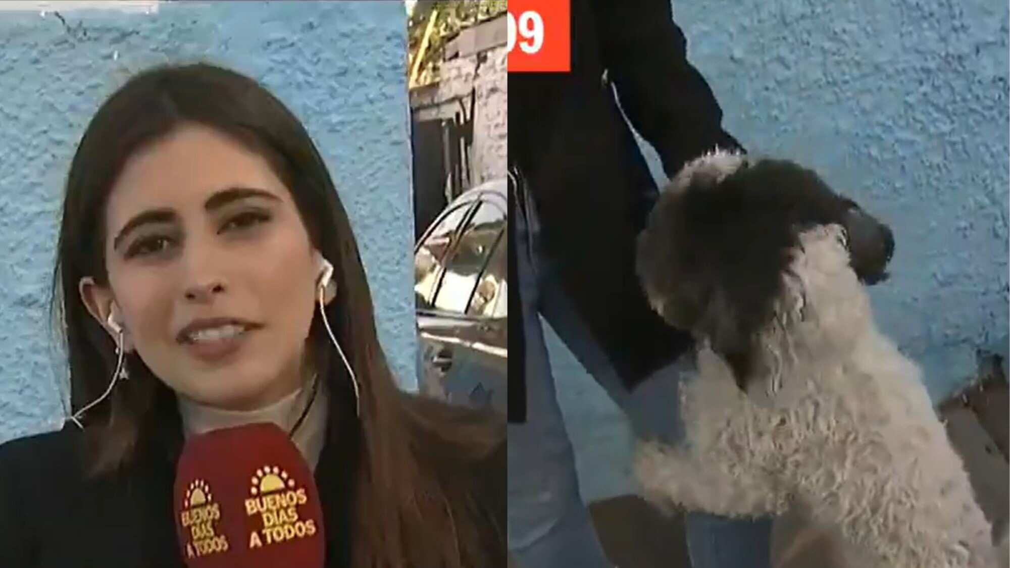 Josefina Valenzuela y el perrito cariñoso | Captura