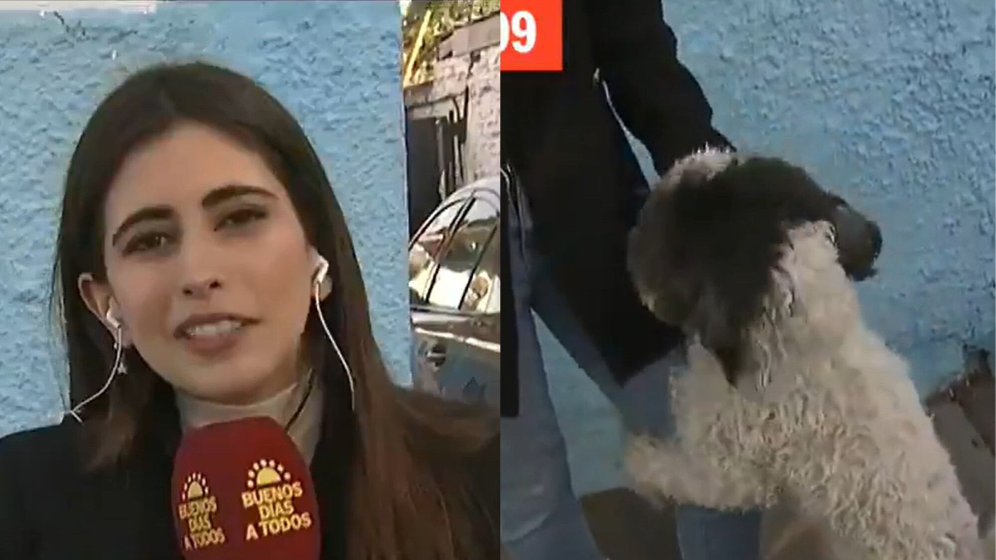 Josefina Valenzuela y el perrito cariñoso | Captura