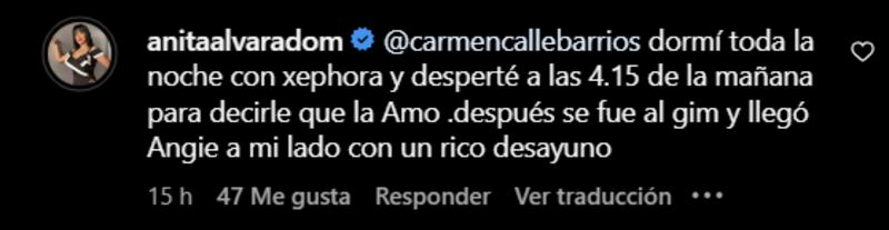 Comentario Anita Alvarado | Instagram