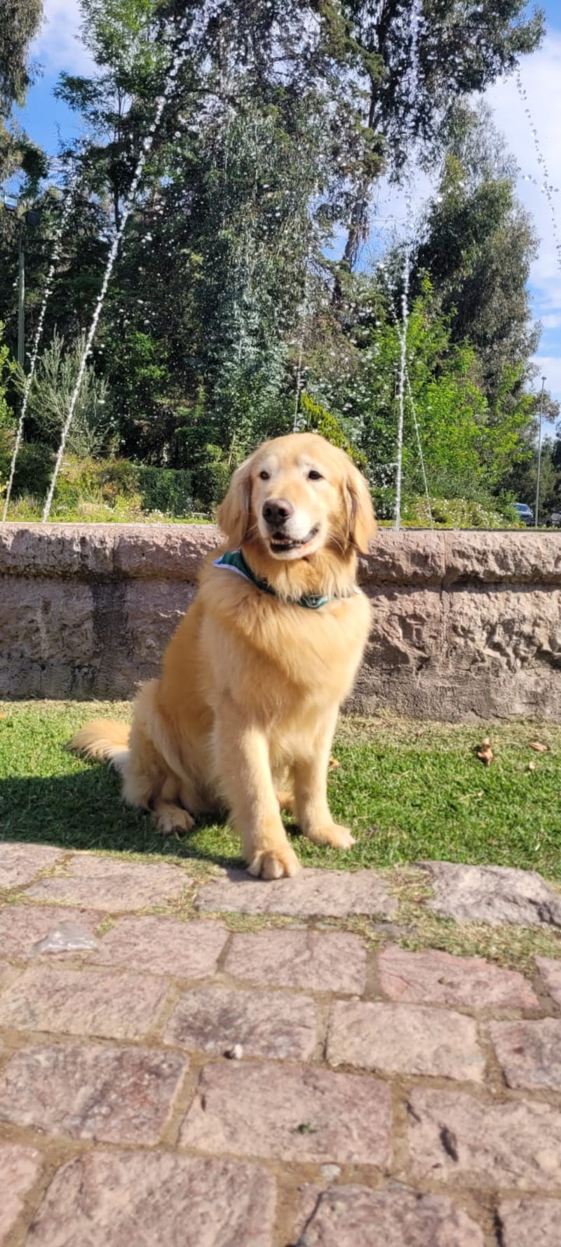 Carabineros resaltó la importancia operativa del can, considerado pieza clave para golpes al narcotráfico durante seis años.