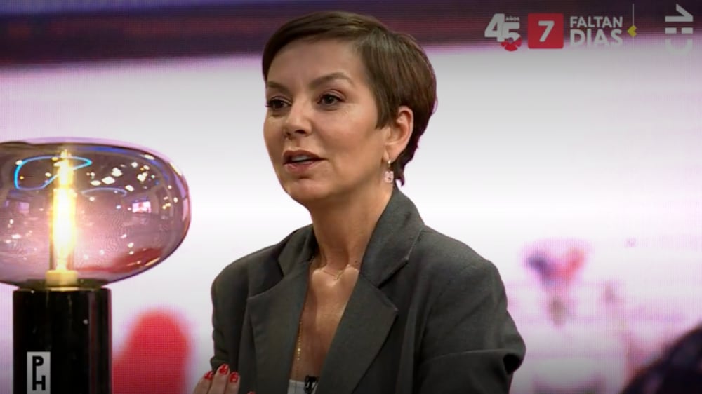 Fran García-Huidobro | Captura: CHV