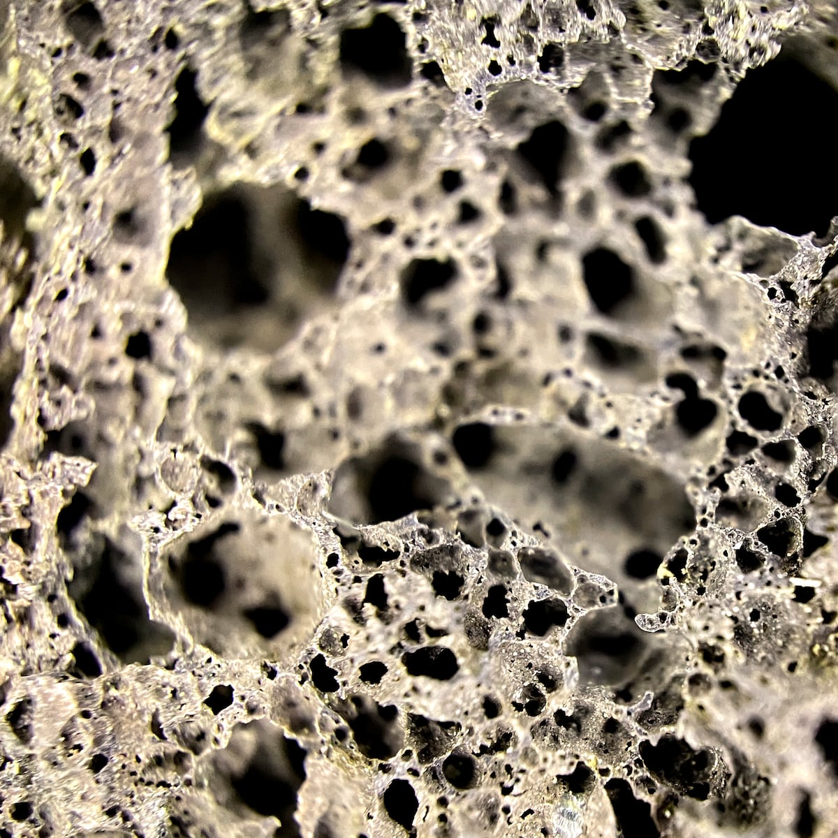 Osteoporosis: 70 fracturas por minuto en el mundo Osteoporosis: 70 fracturas por minuto en el mundo