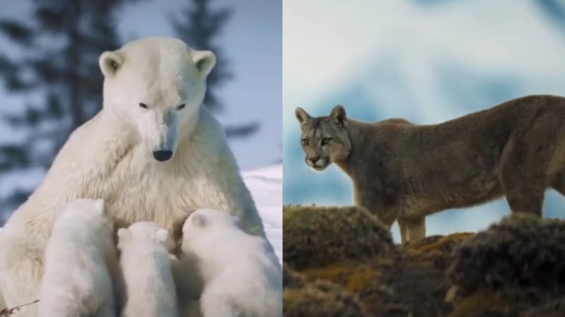 Extremos de las Américas | Captura: Instagram @chilevision