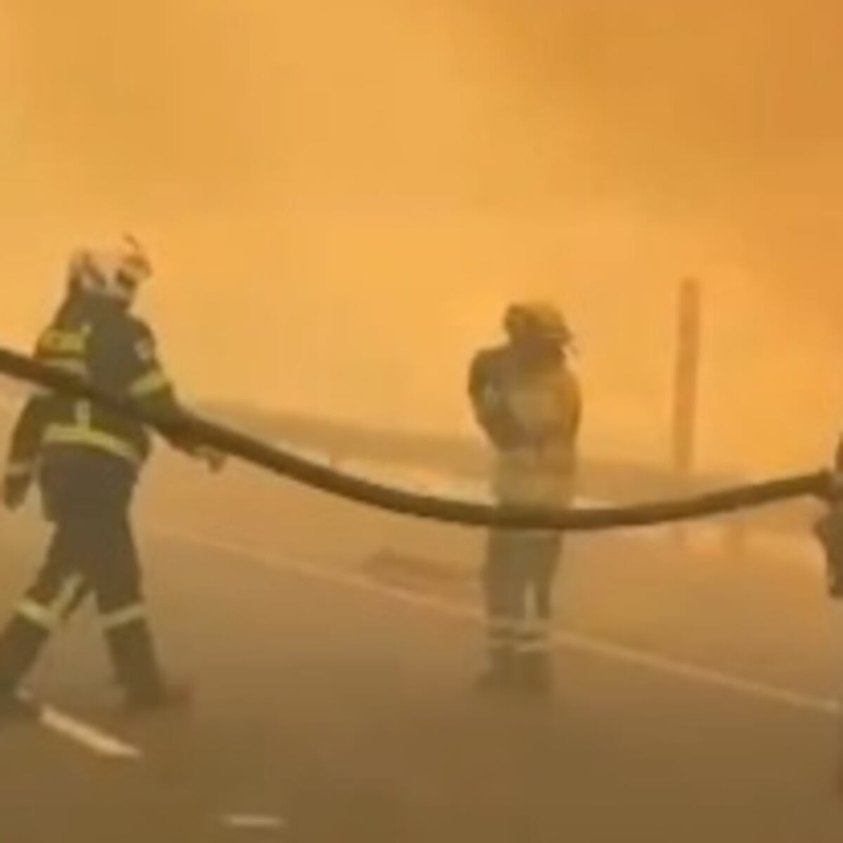 Brigadista fallece en incendio forestal en La Araucanía Brigadista fallece en incendio forestal en La Araucanía