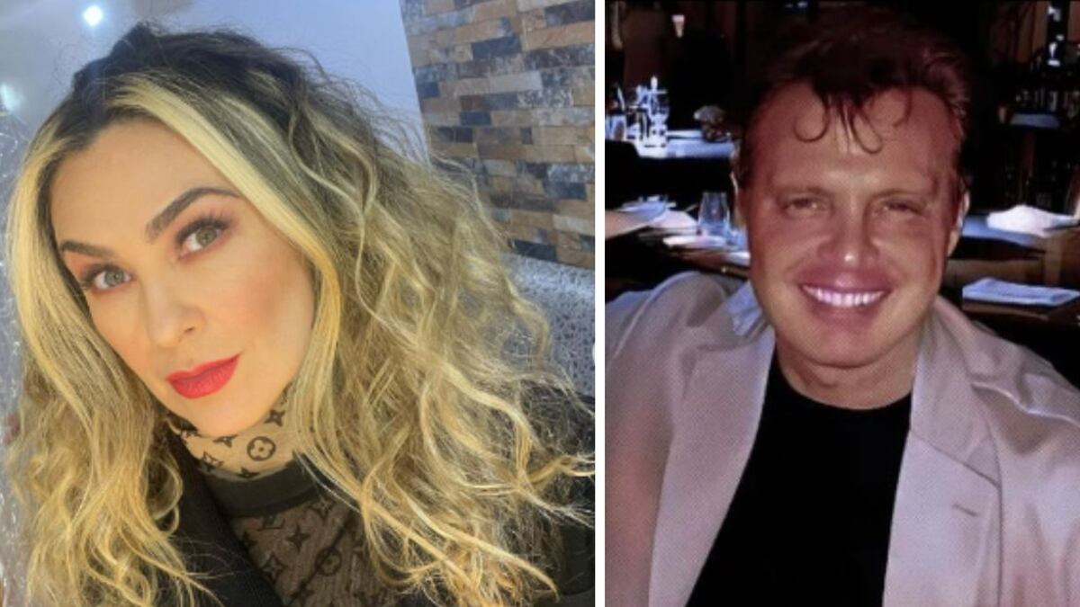 Según el asesor financiero, Luis Miguel saldó deudas con Aracely Arámbula