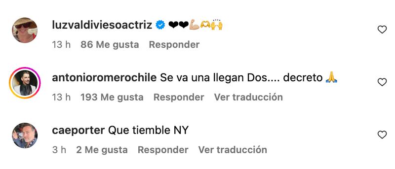 Comentarios de apoyo a María Elena Swett | Captura: Instagram