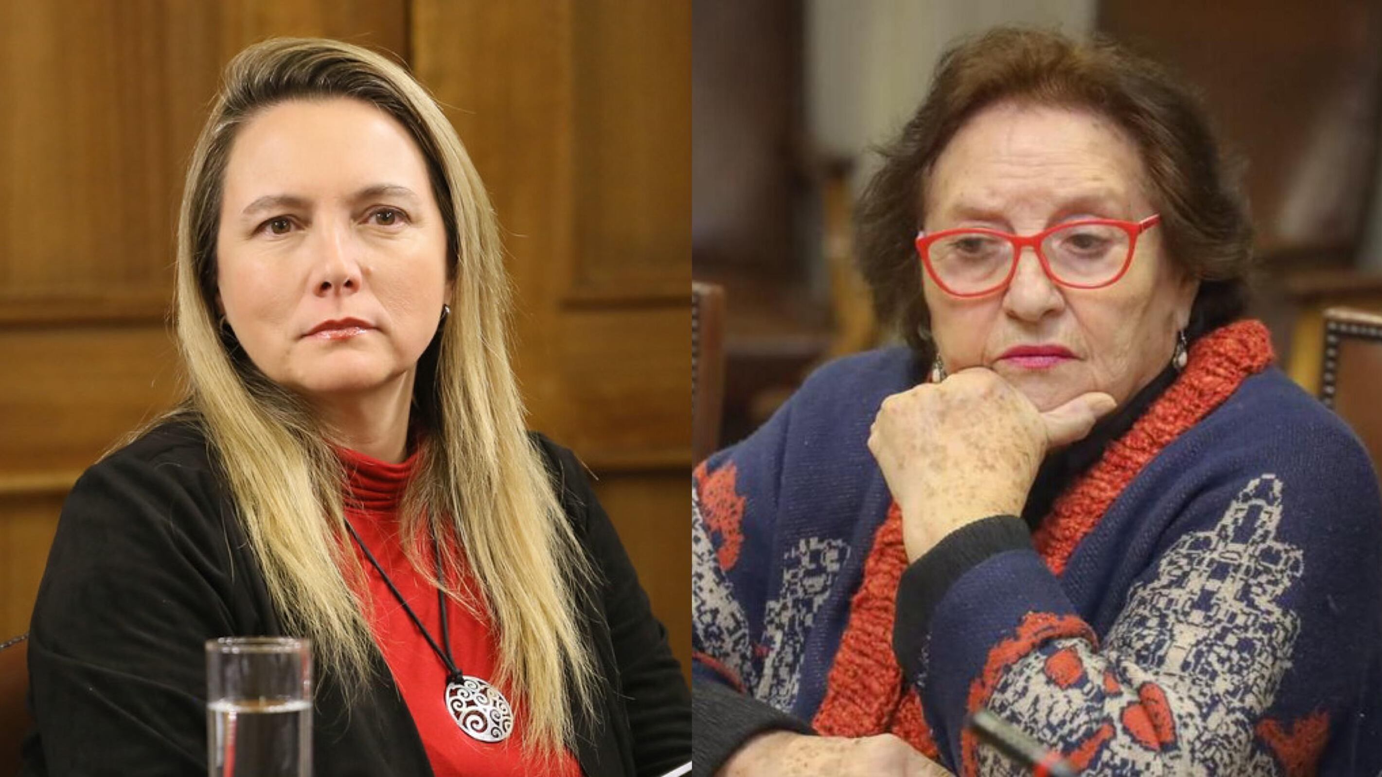 Diputadas Catalina Del Real Mihovilovic y María Luisa Cordero
