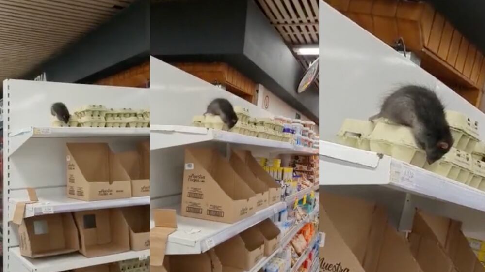 Guarén en supermercado | Fuente: Tiktok