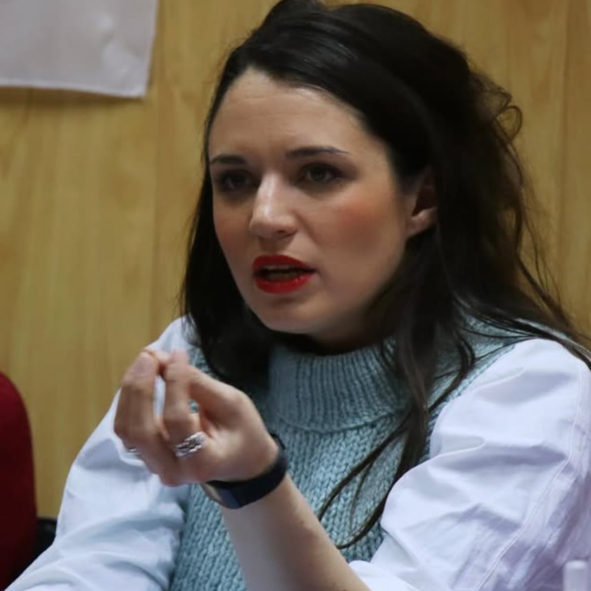 Irina Karamanos analiza el futuro rol de la Primera Dama Irina Karamanos analiza el futuro rol de la Primera Dama