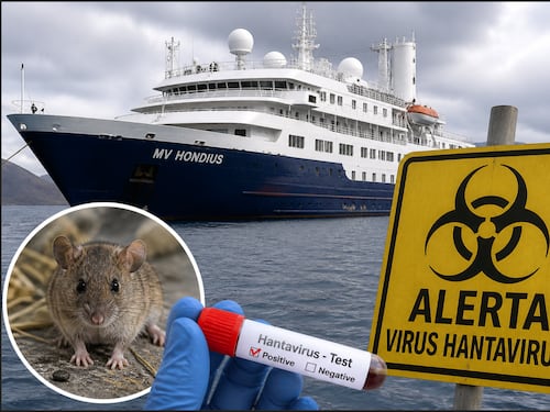 ¡Hantavirus pone bajo la lupa a Chile! Pareja que murió en crucero pasó por el país antes de embarcar