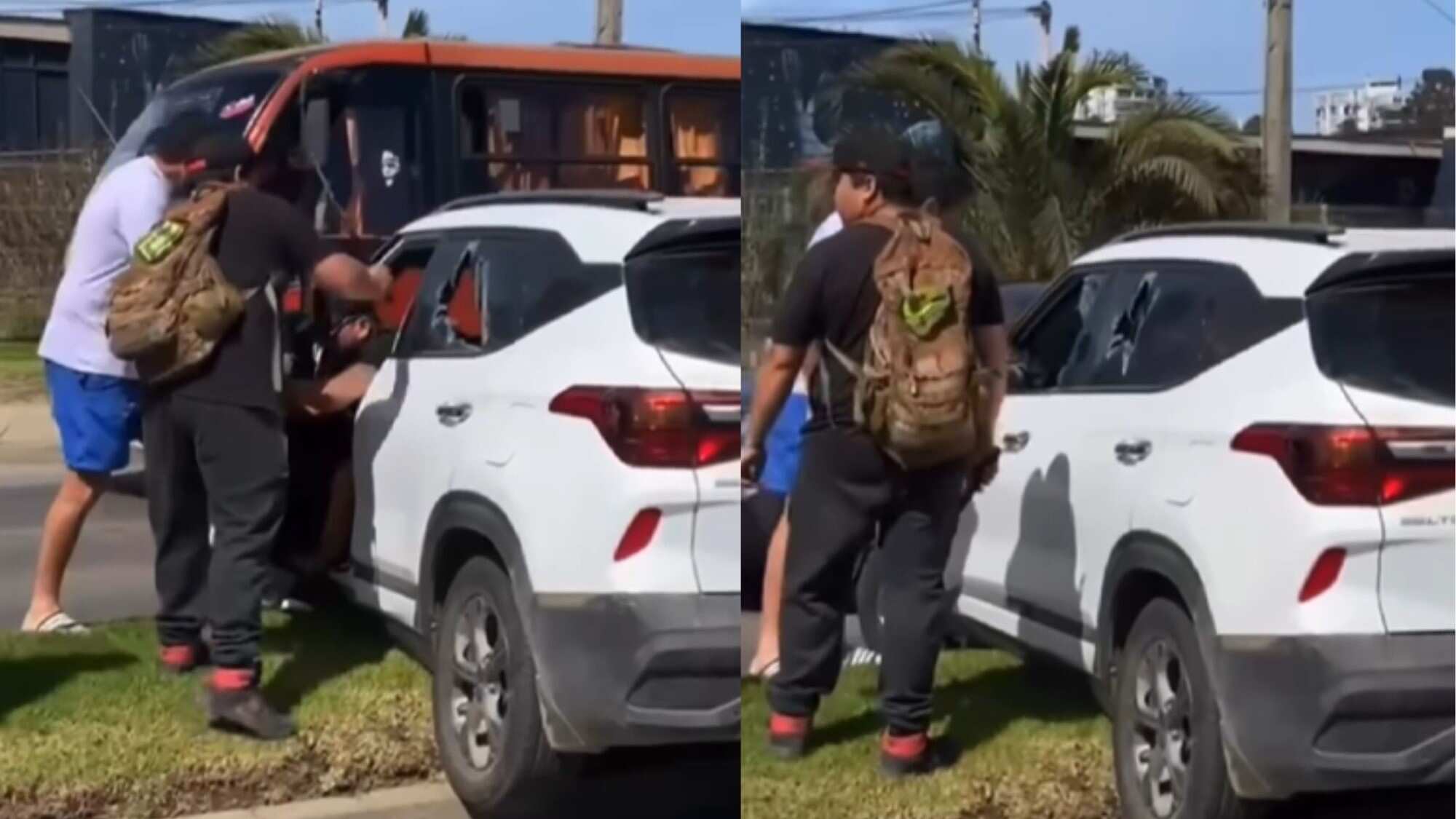 Detención ciudadana en Viña del Mar