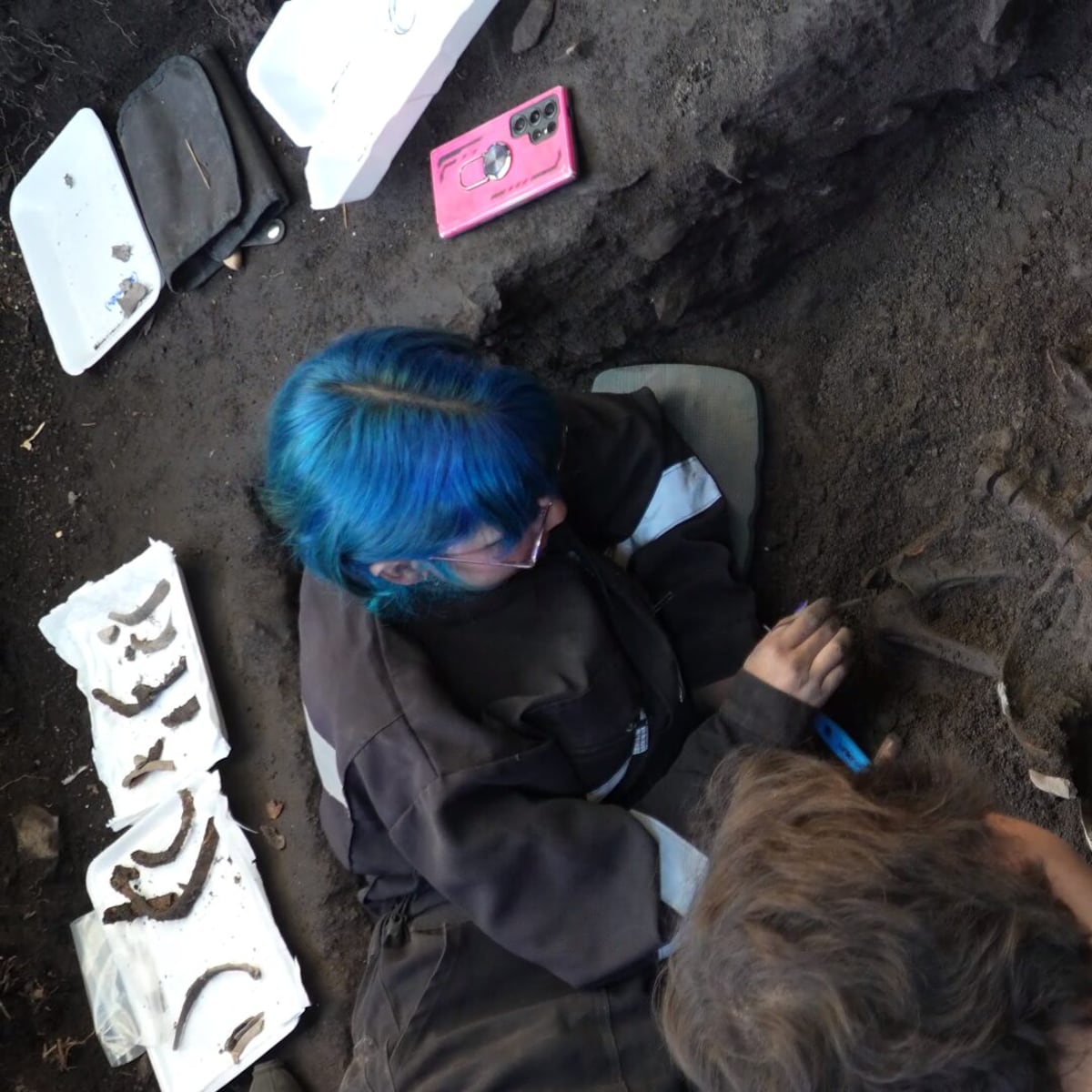 Restos humanos de hasta 5 mil años hallados en San Vicente de Tagua Tagua Restos humanos de hasta 5 mil años hallados en San Vicente de Tagua Tagua