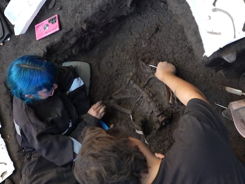 Hallan restos humanos de hasta 5 mil años de antigüedad en San Vicente de Tagua Tagua