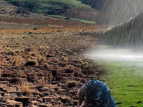 “Niño Godzilla”: alerta por posible fenómeno climático en Chile durante 2026